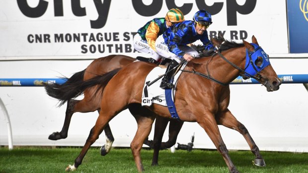 Damian Browne guides Buffering home to win the Moir Stakes at Moonee Valley in October.