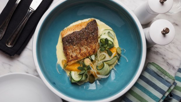 Murray cod with fennel, orange and cucumber.