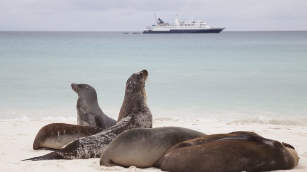 You may find yourself docked among fishing boats or, in the case of the Galapagos, sea lions.