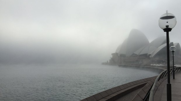 Fog shrouds the Opera House and the harbour on Saturday morning.