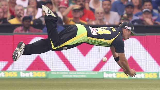 Down she goes ... Cameron Boyce puts a catch down during game one of the Twenty20 International series against India at Adelaide Oval.