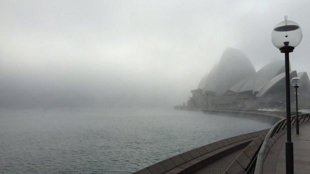 The Opera House hides in the early morning fog. 
