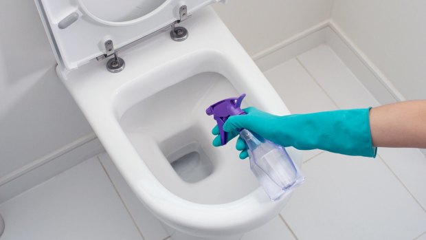 Think Twice Before Cleaning Your Toilet Seat With Bleach