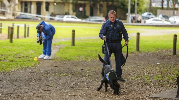 Police search for evidence after Jacky Ho's body is discovered at Wentworth Park.