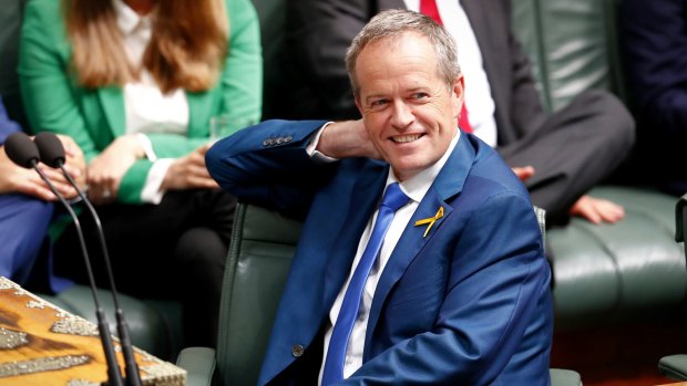 Opposition Leader Bill Shorten during question time on Tuesday.