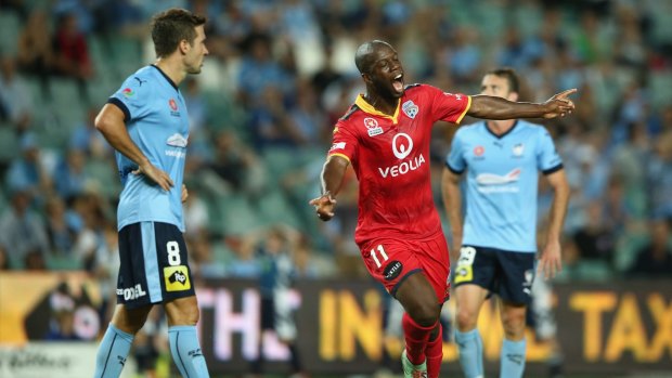 Rubbing salt into the wounds: Milos Dimitrijevic looks dejected as Adelaide star Bruce Djite celebrates scoring a goal.