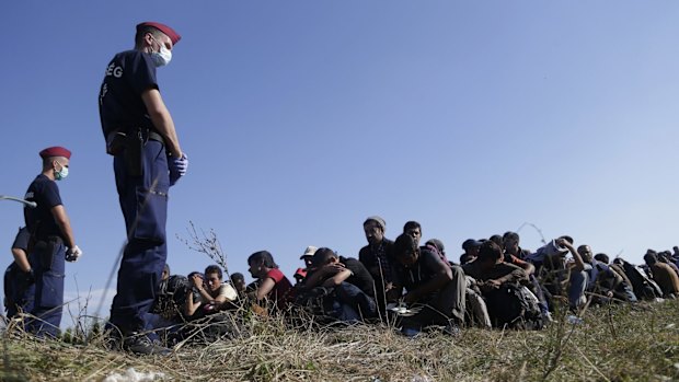 A group of migrants near the village of Zakany, Hungary, on Wednesday. 