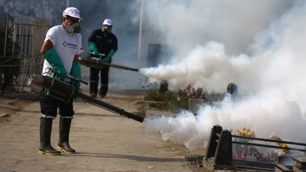 Health workers fumigate to prevent dengue, chikungunya and Zika virus, at El Angel cemetery, in Lima last week. 