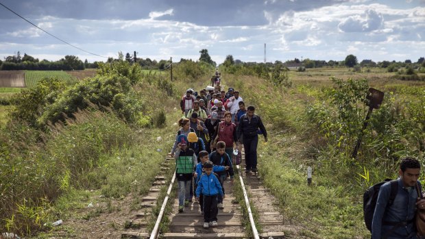 Constant flow ... Migrants cross into Hungary as they walk over railroad tracks at the Serbian border with Hungary.