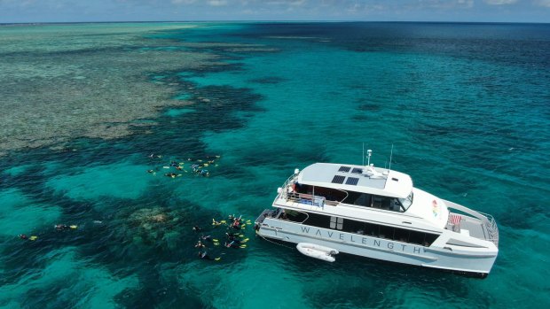 Wavelength Reef Cruises at Opal Reef.