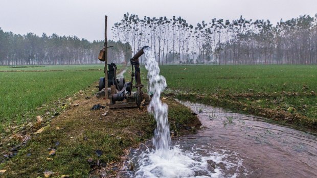 Water is pumped from underground at a farm in Haryana state, where an ambitious project is underway to recreate the mystical Hindu river, the Saraswati.