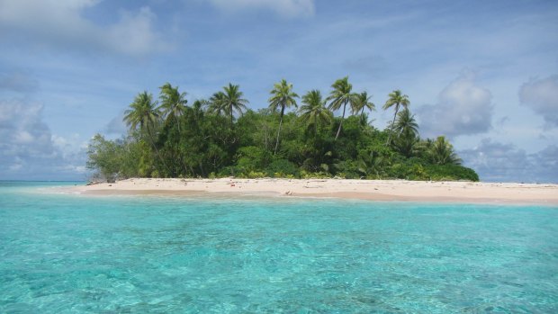 Fualopa motu in Funafuti Conservation Area.
