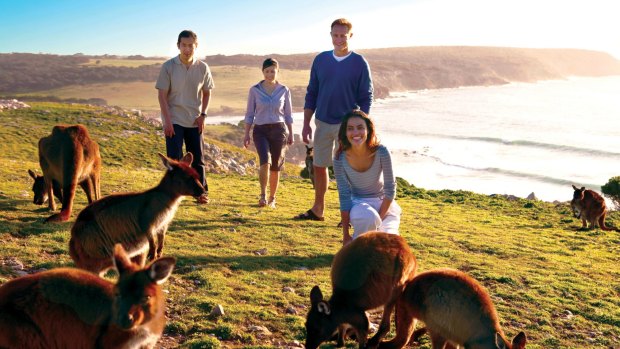 Kangaroo Island was recently hit by bushfires and is hoping tourists will return.