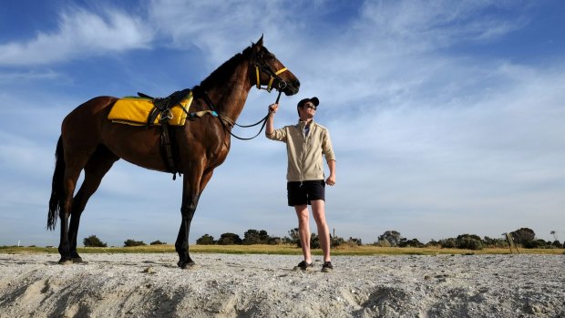 Looking forward to the Cup: James Cummings with Precedence after the nine-year-old worked on Altona beach. 