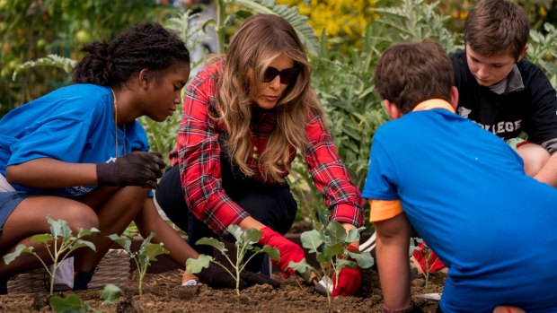 First lady Melania Trump plants vegetables with the Boys and Girls Club of Washington in the White House Kitchen Garden on Friday.
