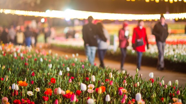 Floriade NightFest has been cancelled for Thursday evening after weather closed the festival for the day.