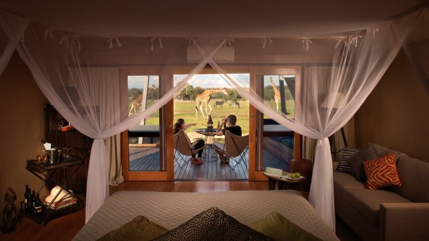 Enjoy an up-close experience with nature while staying at Zoofari Lodge.