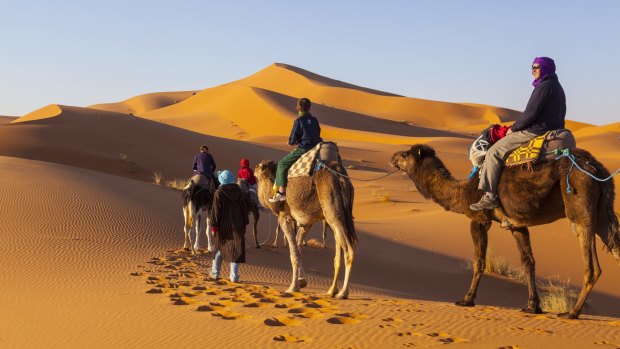 Tourists on camel safari, Sahara Desert, Merzouga, Morocco.
