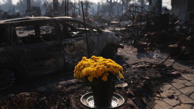 Fresh flowers are placed in Santa Rosa, California on Sunday.