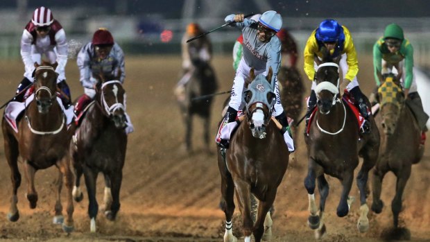 First place: California Chrome ridden by Victor Espinoza crosses the finish line to win the Dubai World Cup.