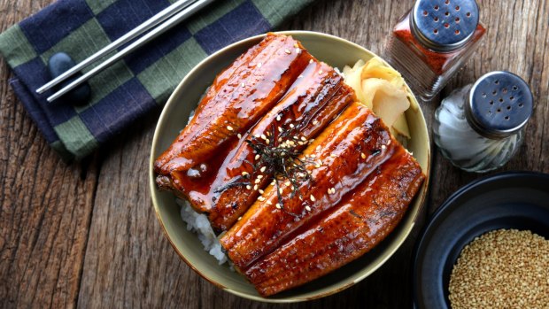 Japanese eel grilled with rice.