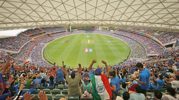 Flying high: Indian fans wave flags at the Cricket World Cup match between India and Pakistan at Adelaide Oval.