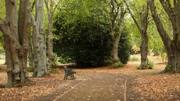 Camperdown Botanic Gardens. 