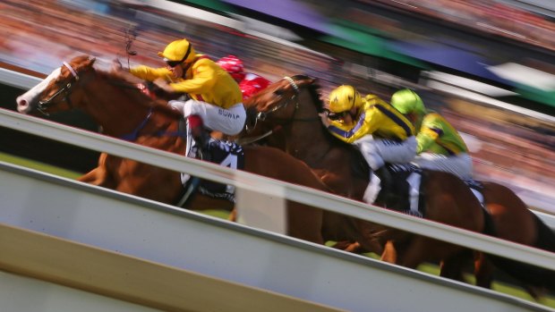 Picking a winner: there are no rules with the Melbourne Cup.
