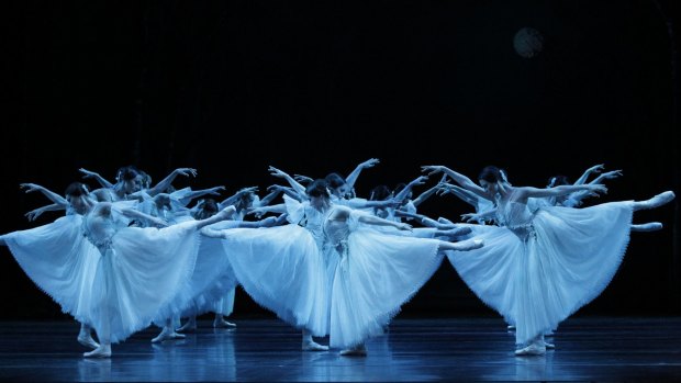 The Wilis in the second act of "Giselle".