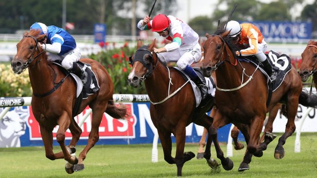 Tight win: Hugh Bowman (red cap) gets Off The Rails home in a photo finish at Rosehill on Saturday.