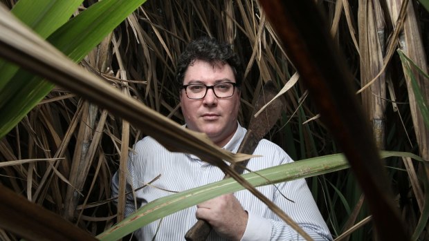 Conservative politician George Christensen has been critical of Wilmar. 