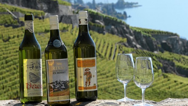 The Lavaux Vinorama in Rivaz is a good place to start.