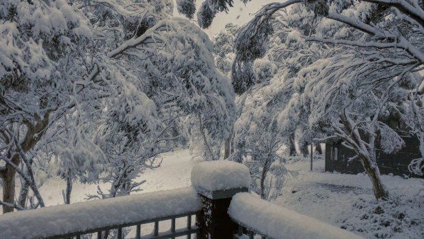 Mt Hotham recorded 15 centimetres of snow in 24 hours.