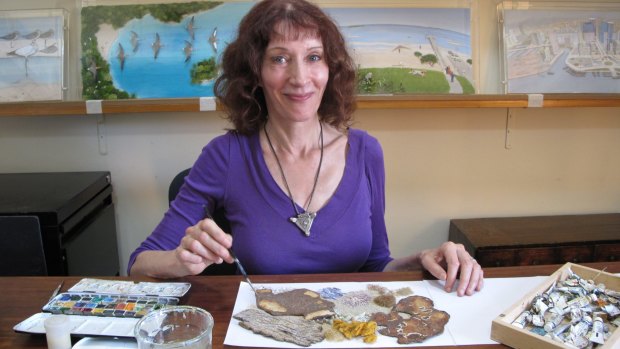 Jeannie Baker in her Balmain studio. Her collage illustrations are held in public collections and have been exhibited internationally.