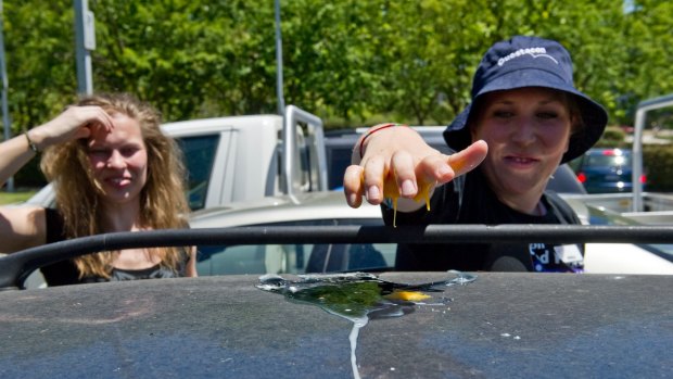 Michelle Cooper tries to cook an egg on the roof of Alison McGregor's car. 