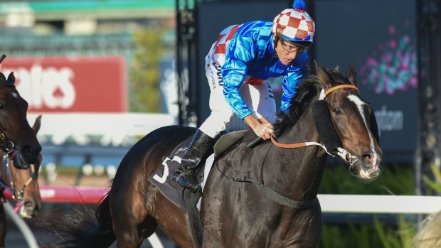 Damien Oliver rides La Amistad to victory in the Andrew Ramsden Stakes on Saturday.