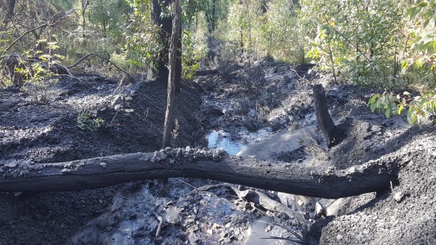 Polluted gully downstream of the Clarence colliery.