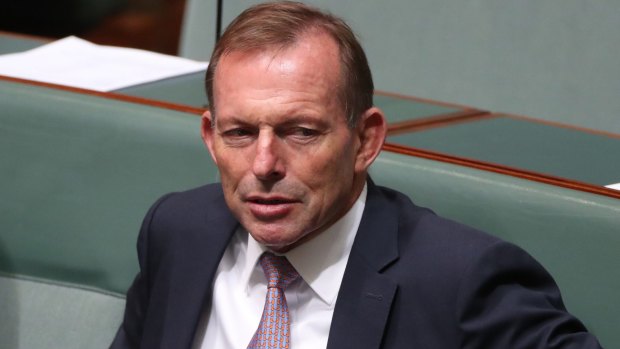 Former prime minister Tony Abbott can't keep his head down.