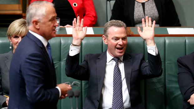 Government minister Christopher Pyne, the bearer of one of the most popular names in Parliament.