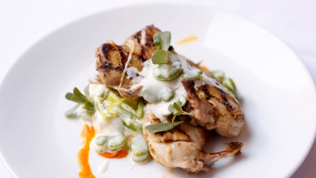 Grilled spatchcock with chermoula, spiced carrot, broad beans, baby leeks and yoghurt.