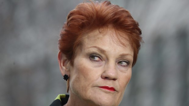 Senator Pauline Hanson during a press conference on Thursday.