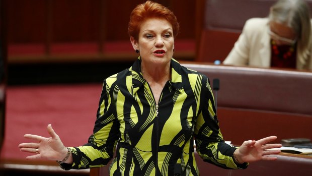 Senator Pauline Hanson in the Senate on Thursday.
