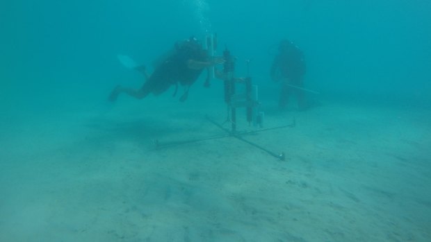 Scientists working on the reef.
