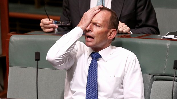 Tony Abbott sitting on the backbench in November.
