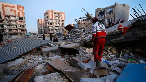 A Red Crescent rescue worker searches for survivors with his sniffing dog in Sarpol-e-Zahab in western Iran.