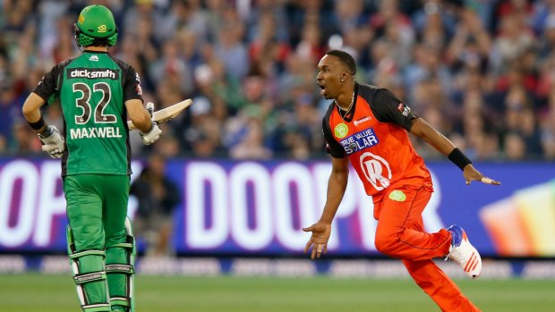 Dwayne Bravo of the Melbourne Renegades celebrates after taking the wicket of Glenn Maxwell.