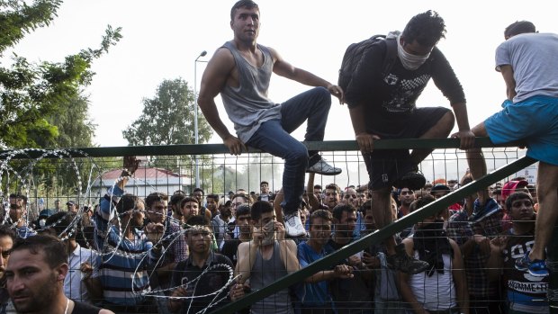 Refugees climb a border fence that separates Serbia from Hungary before violence broke out.