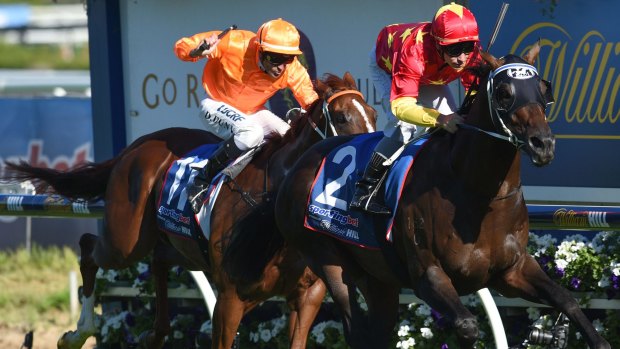 Dominant: Dissident surges ahead with Ben Melham aboard in the C.F. Orr Stakes. 