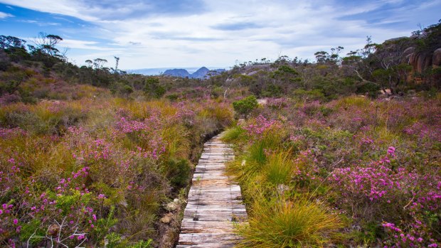 The Freycinet Experience Walk is a four-day submersion into one the most stunning coastal wilderness areas on Earth. 