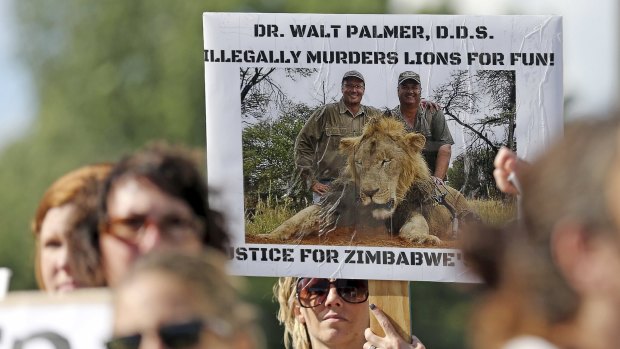 Protesters rally outside the hunter Walter Palmer's dental clinic in Minnesota, US. 